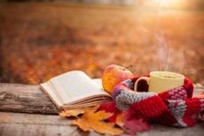 Tea mug with warm scarf open book and apple on wooden surface