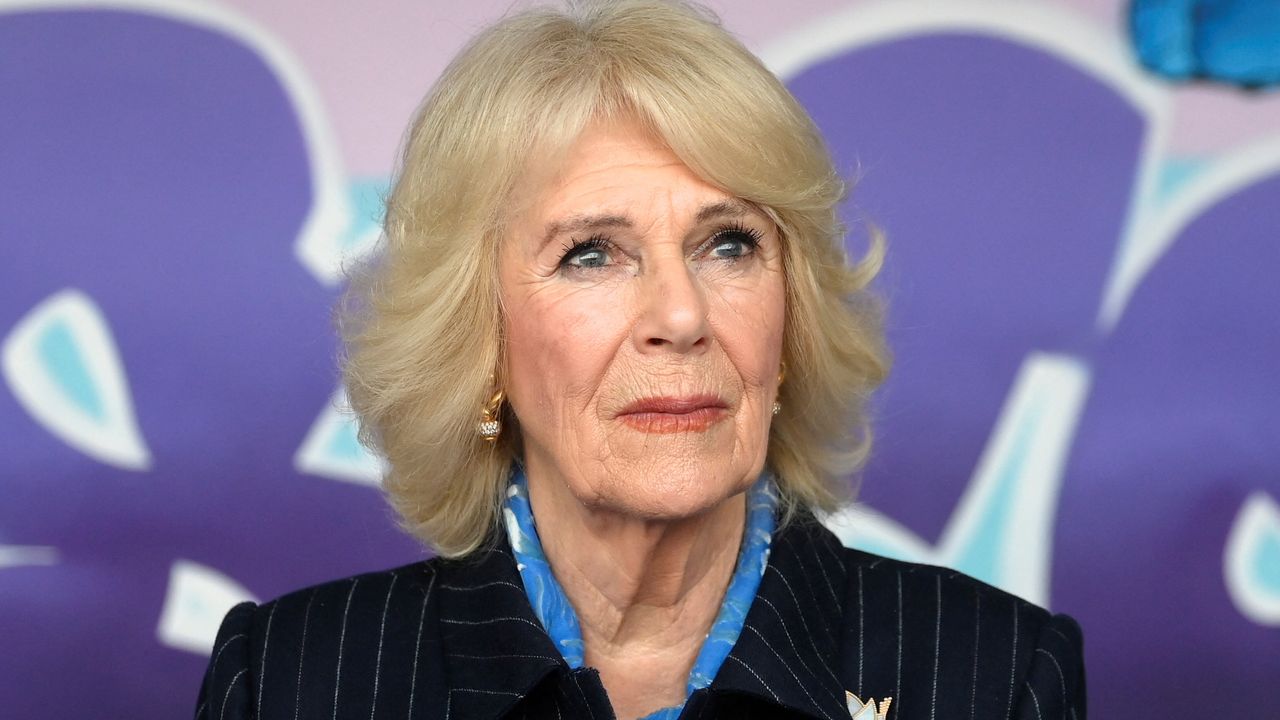 Queen Camilla&#039;s lucky dove brooch worn as she gives a speech during her visit to the S.T.O.R.M Family Centre 