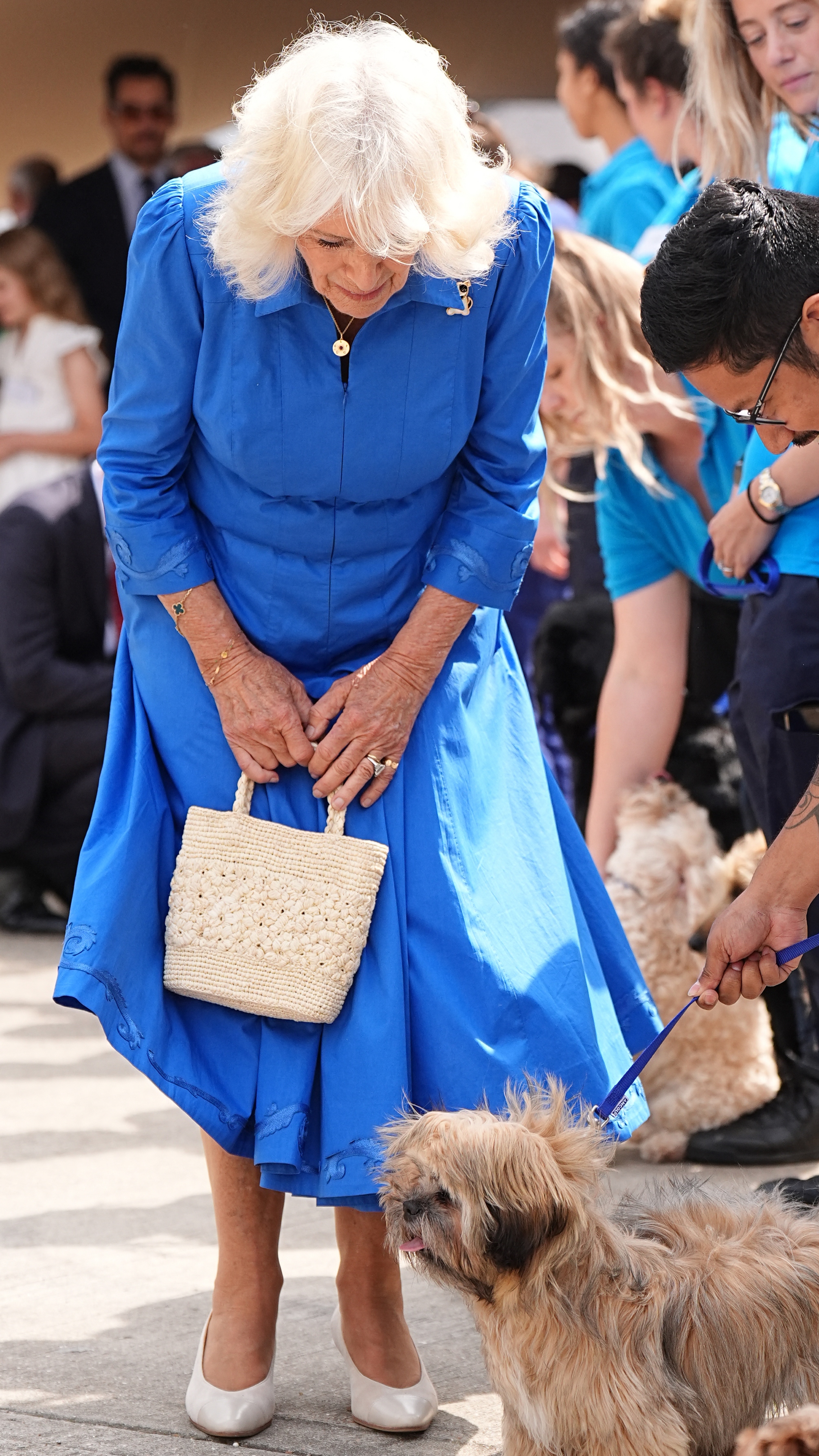 Queen Camilla bends down to greet a dog during a visit to unveil the Royal Horticultural Society (RHS) and BBC Radio 2 'Dog Garden' at the Battersea Dogs and Cats Home