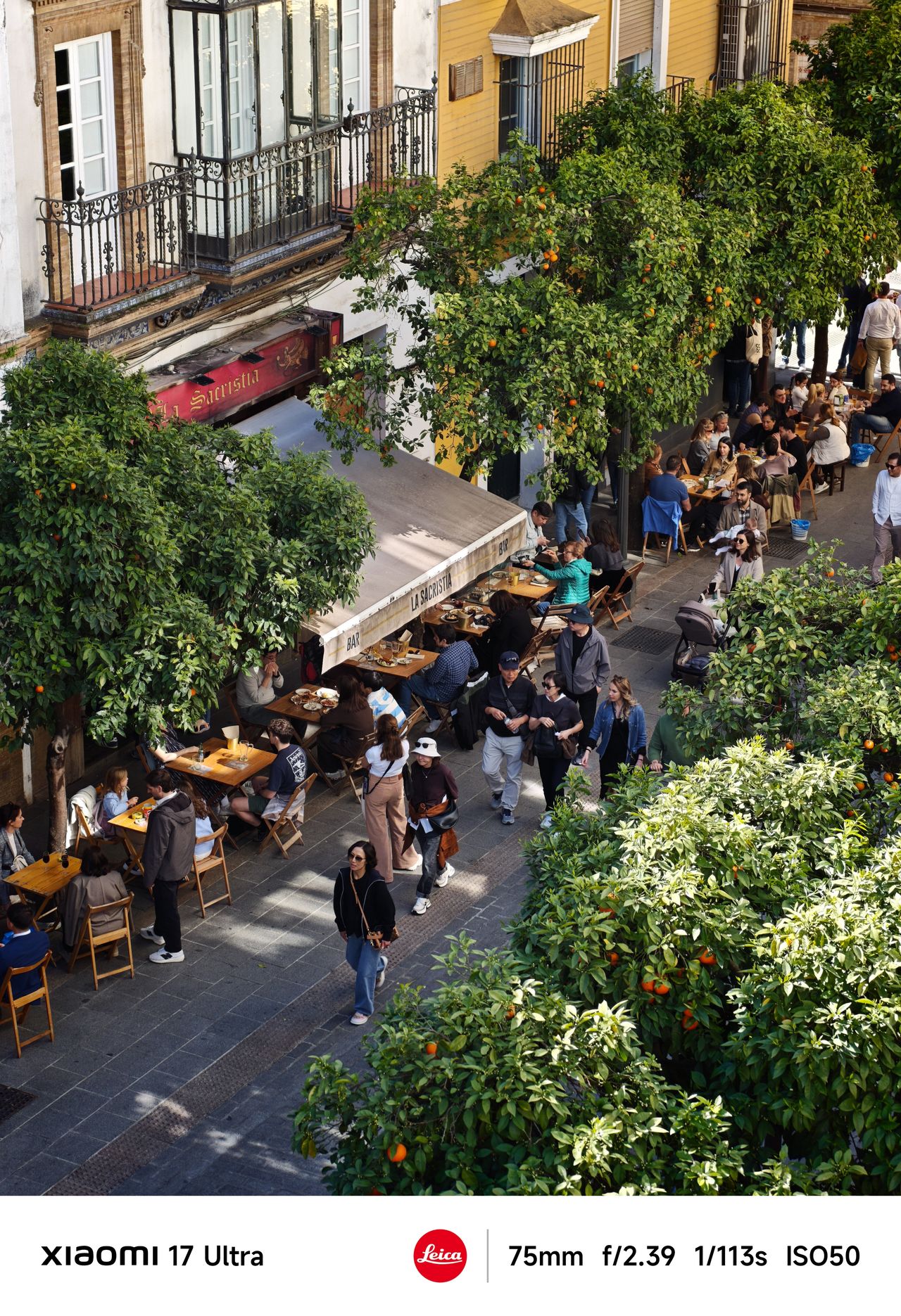 Busy outdoor caf&eacute; beneath orange trees, people dining and walking along a sunlit street viewed from above.