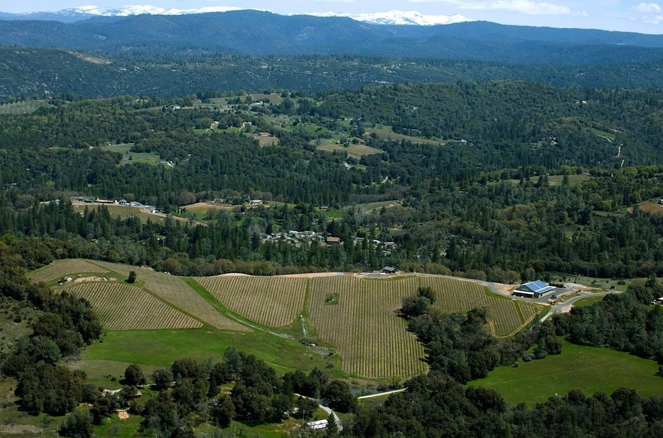 El Dorado County - Skinner Vineyards