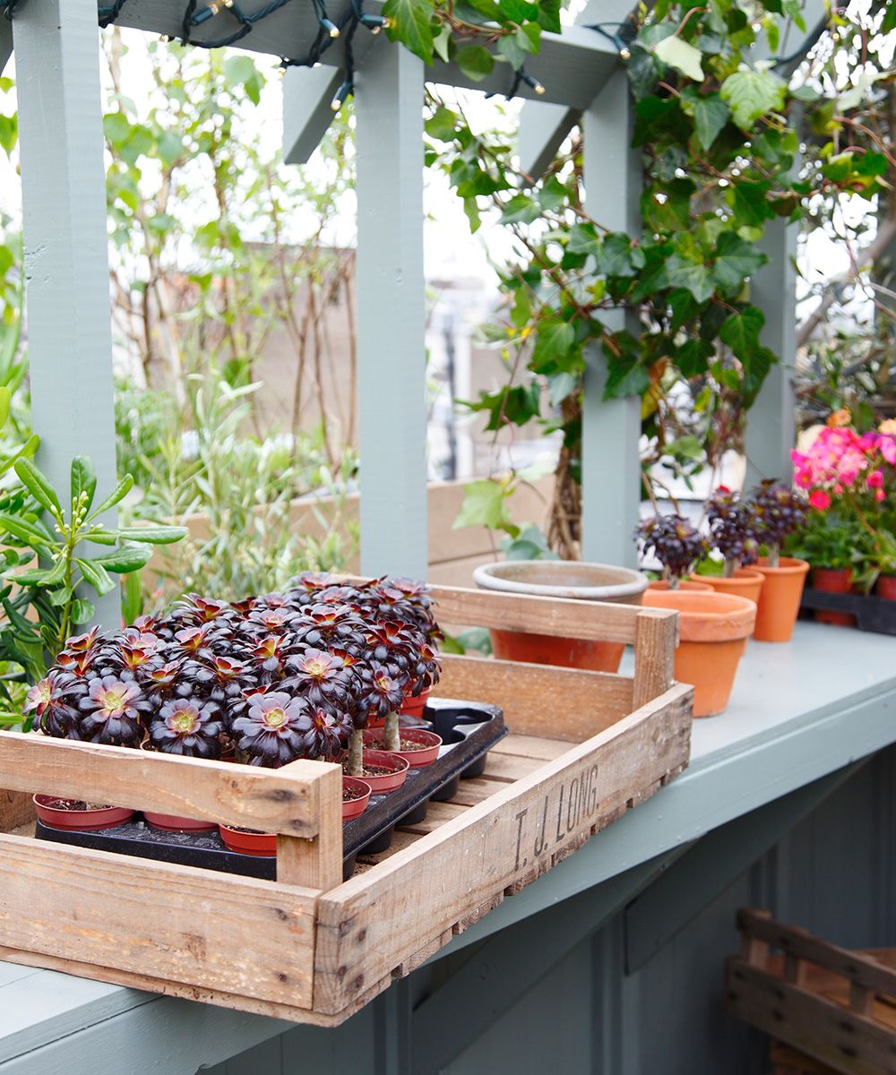 How to turn a small garden into a self-sufficient space | Homes & Gardens