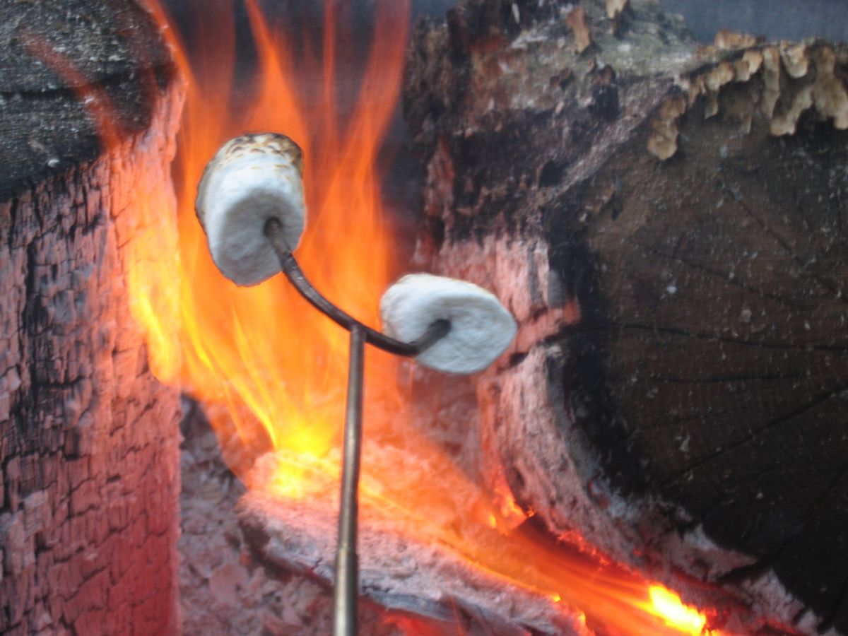 A camping photo taken with the Canon PowerShot A540, a compact camera announced in 2006