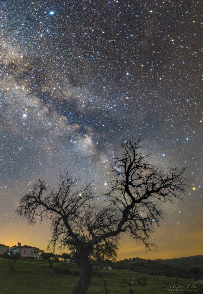The Universe Reveals Its True Colors in This Stunning Milky Way Photo