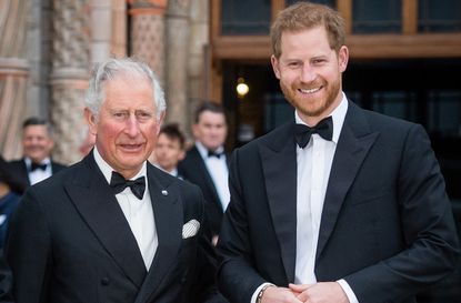 prince harry prince charles everyone talking throwback photo