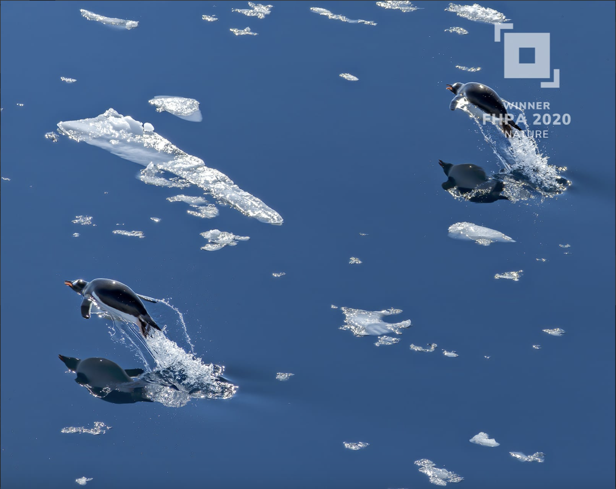 Frank Hurley Photography Awards