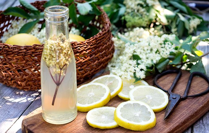 elderflower cordial recipe