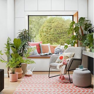 houseplants arranged in a living area with picture window and seating