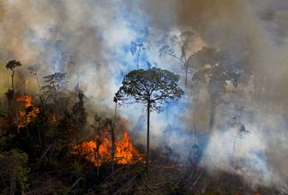 Wildfires in the Amazon are polluting the air with greenhouse gases faster than the surviving trees can absorb it.