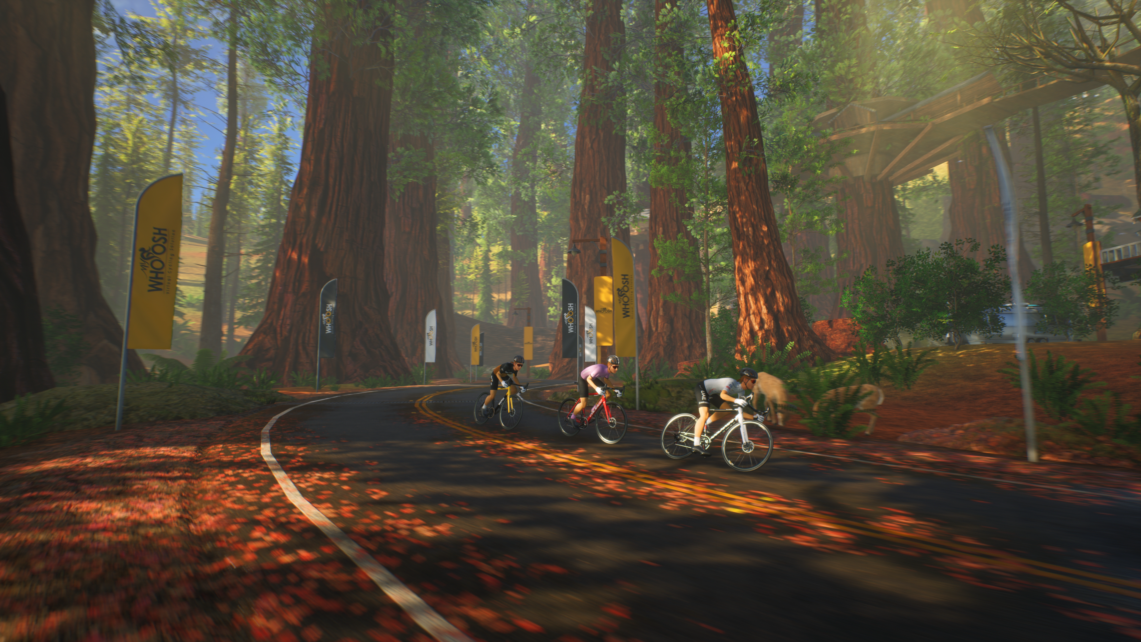 MyWhoosh California riders in a forest