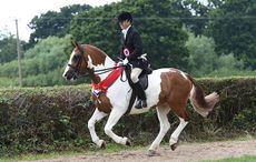 side-saddle hunting
