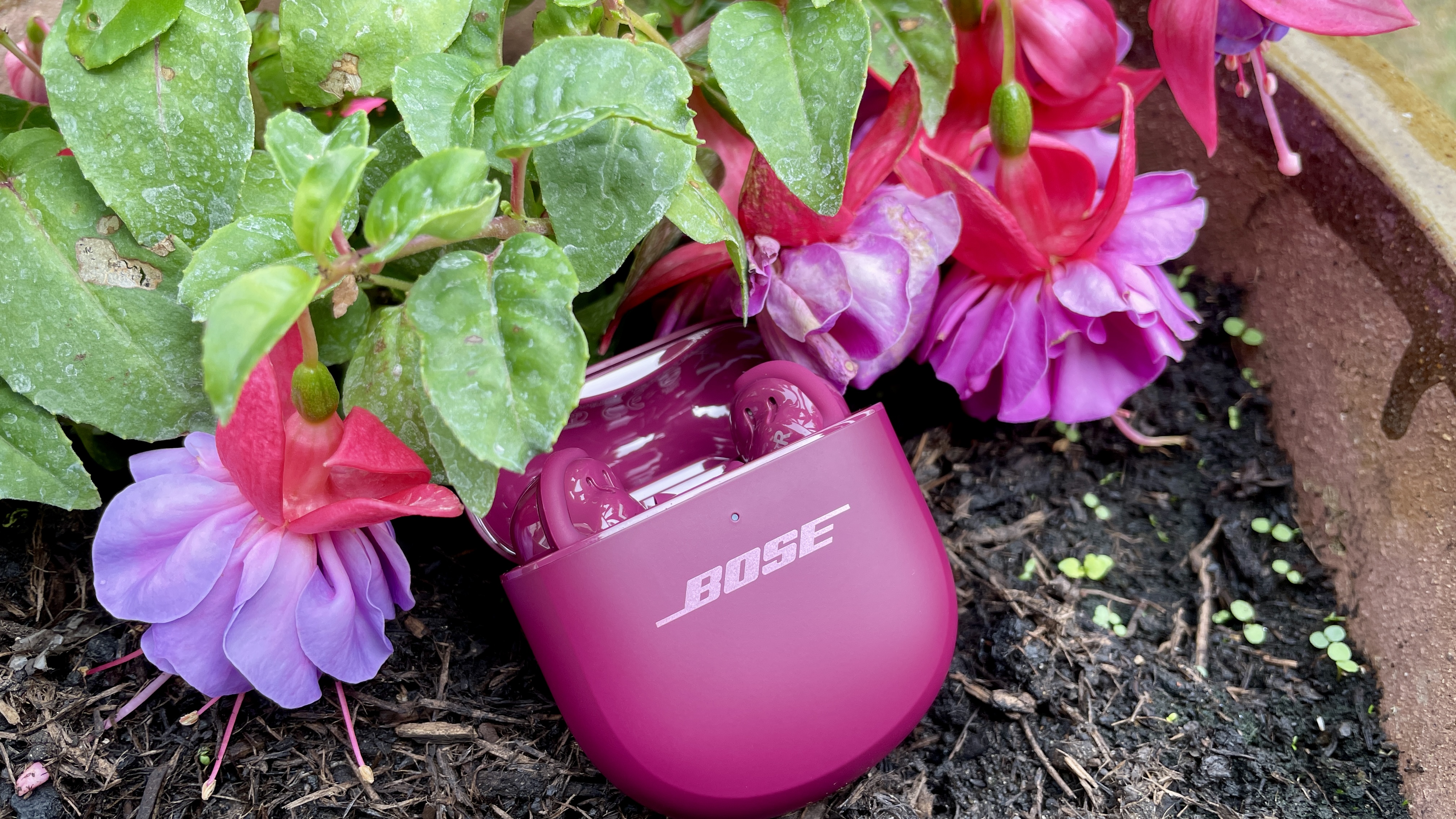 Bose QuietComfort Ultra Earbuds (2nd Gen) in purple color, next to some flowers of a similar shade but held in a hand
