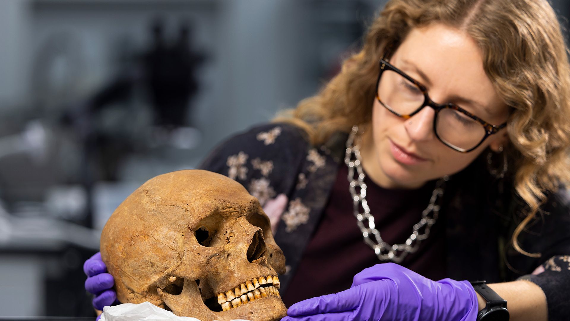 A woman wearing glasses and purple latex gloves looks down on a brown human skull.