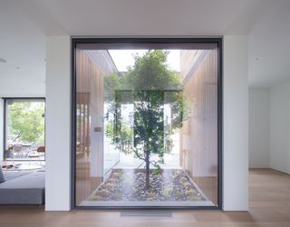 Glass enclosed courtyard with tree at Lake House by Worrell Yeung