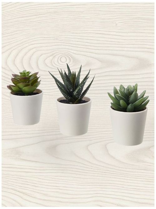 Fejka Artificial Potted Plants - Succulents