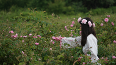 The 'Rose Valley': blessedly free of tourist crowds