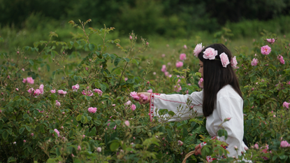 The 'Rose Valley': blessedly free of tourist crowds