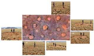 Fairy circles in the Namib Desert in Africa.