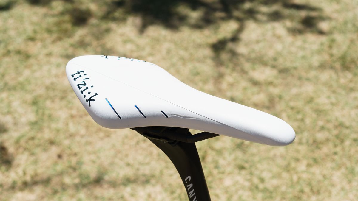 How long would you manage to keep this saddle as gleaming white?