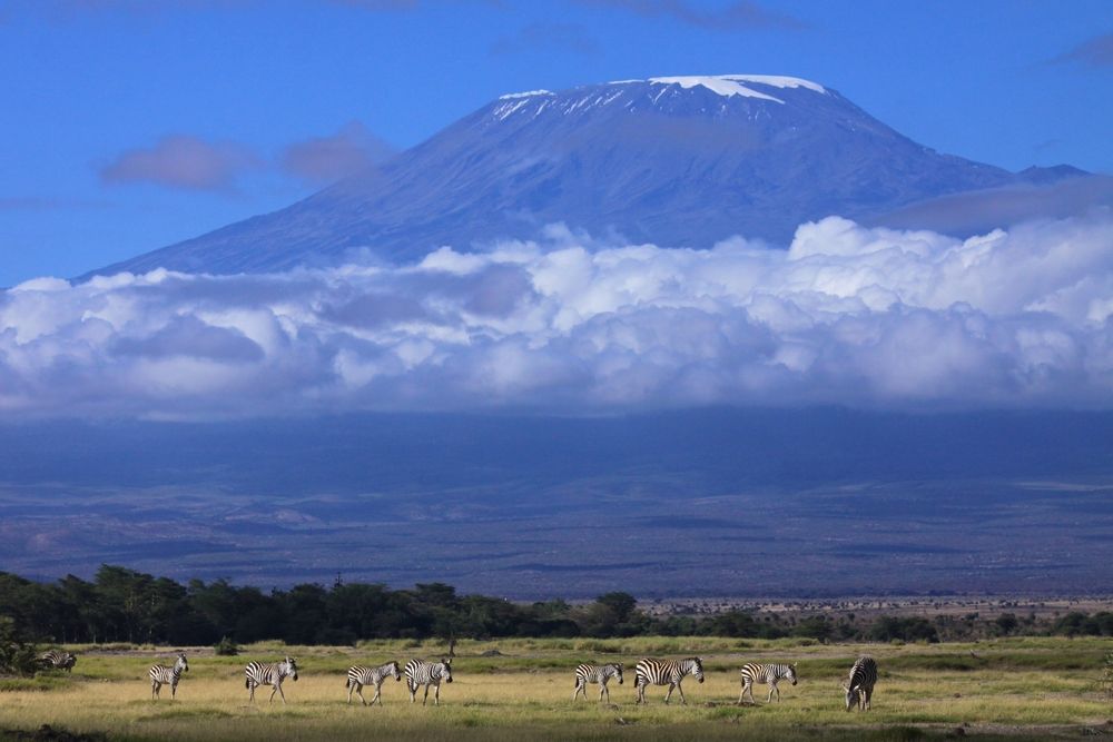 Handschrift glas Huidige Kilimanjaro: Facts about Africa's Highest Peak | Live Science