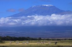 kilimanjaro