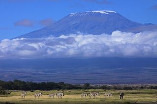 One of the Seven Summits (the highest peaks on the seven continents), Kilimanjaro is in Tanzania in east Africa.