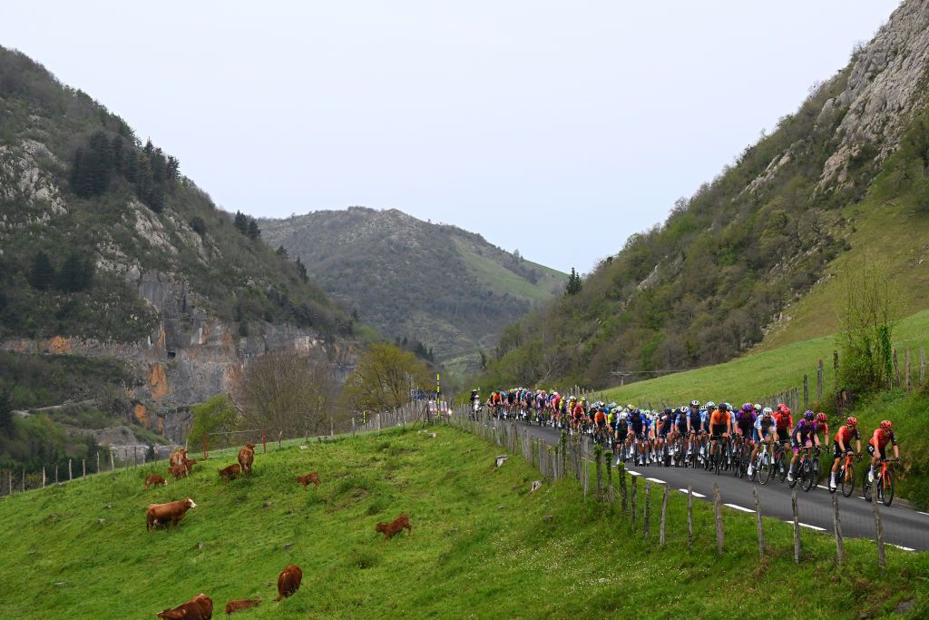 EIBAR SPAIN APRIL 06 LR Omar Fraile of Spain Ethan Hayter of The United Kingdom and Team INEOS Grenadiers and a general view of the peloton climbing to during the 63rd Itzulia Basque Country 2024 Stage 6 a 1378km stage from Eibar to Eibar UCIWT on April 06 2024 in Eibar Spain Photo by Tim de WaeleGetty Images