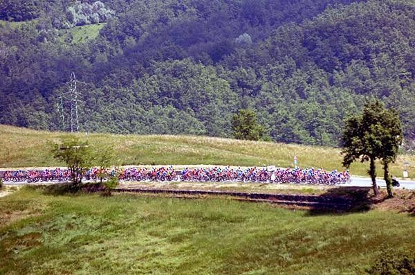The Giro peloton snakes its way through the Italian countryside.