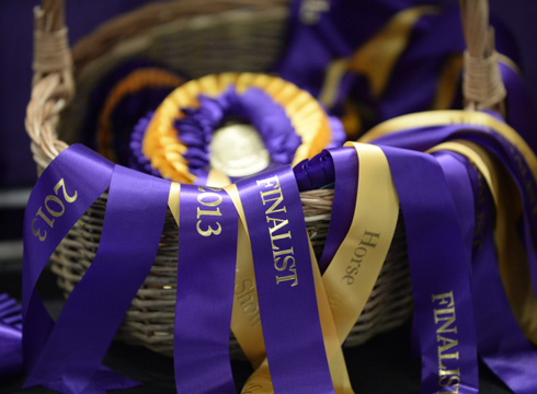 Horse of the Year Show