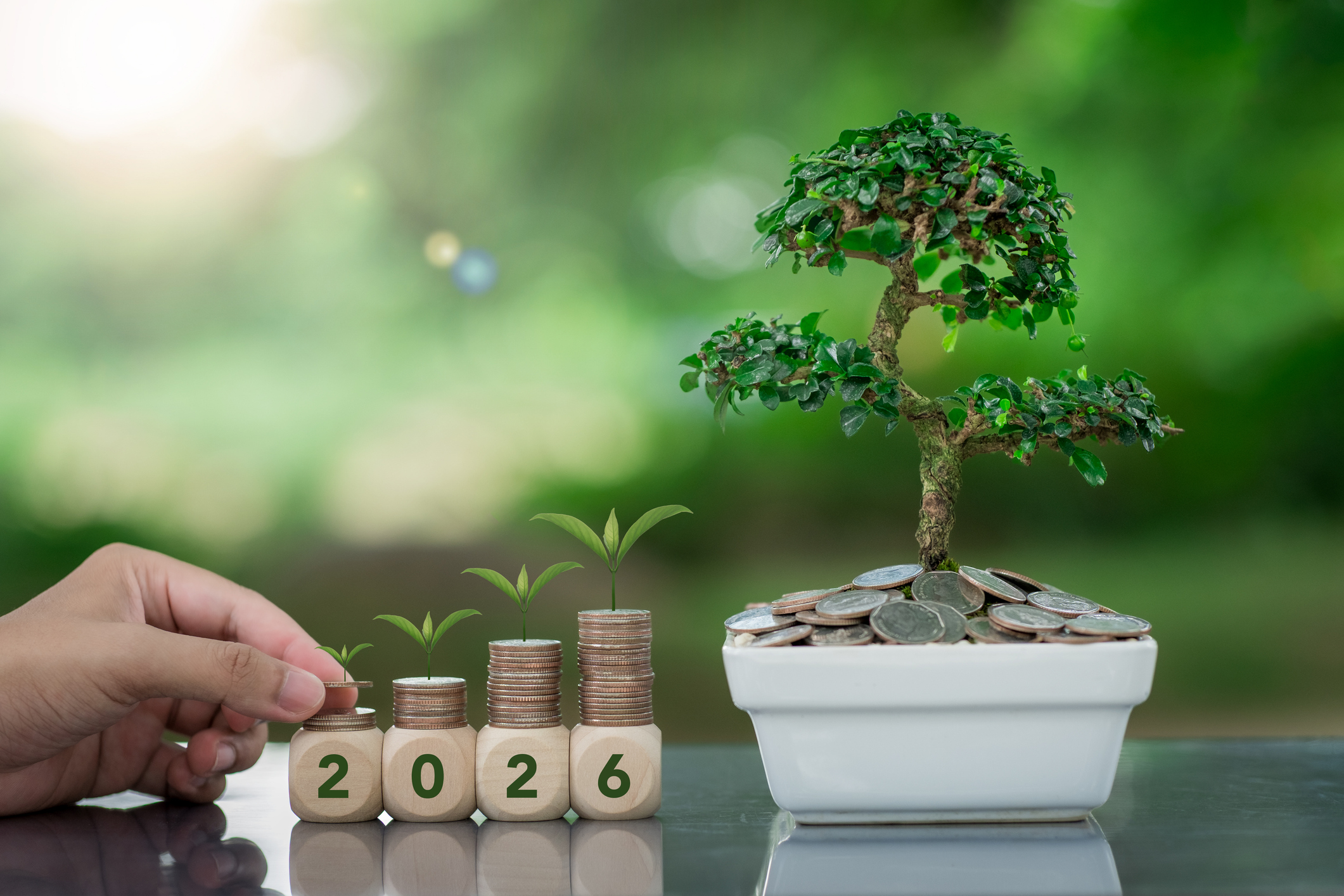 a bonzai tree next to a growing stack of coins, in front of which are Scrabble tiles reading 2026