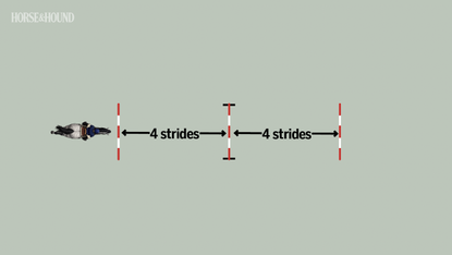 Jumping training exercise with two poles and a jump to stop horse rushing