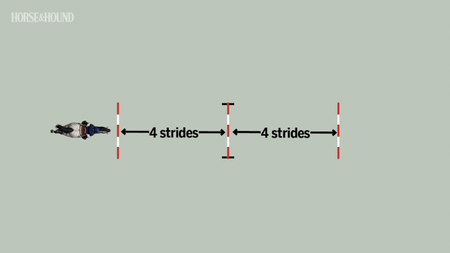 Jumping training exercise with two poles and a jump to stop horse rushing