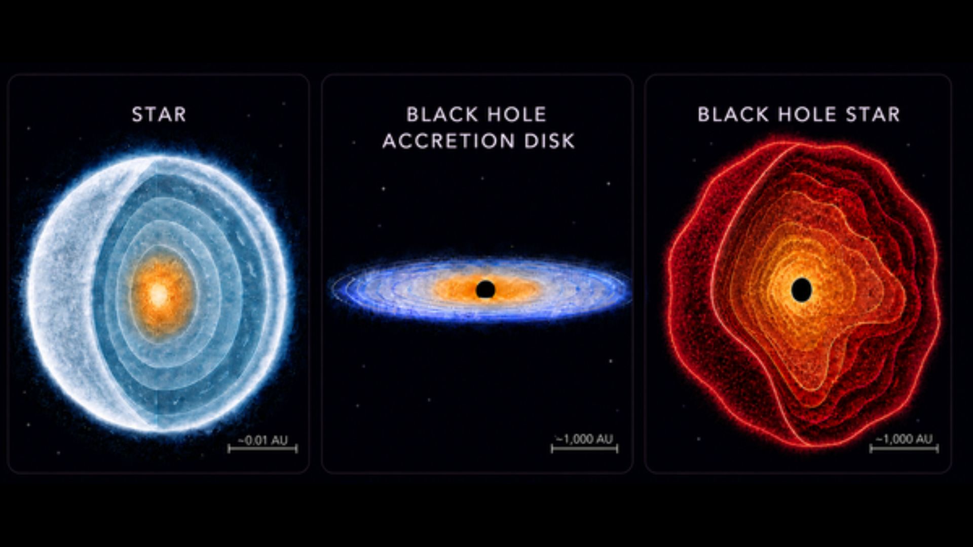 An illustration on the left of a star cut open so you can see the inside. In the center, a black hole with an accretion disk. On the right, a black circle surrounded by a sphere of red. This is a black hole star.