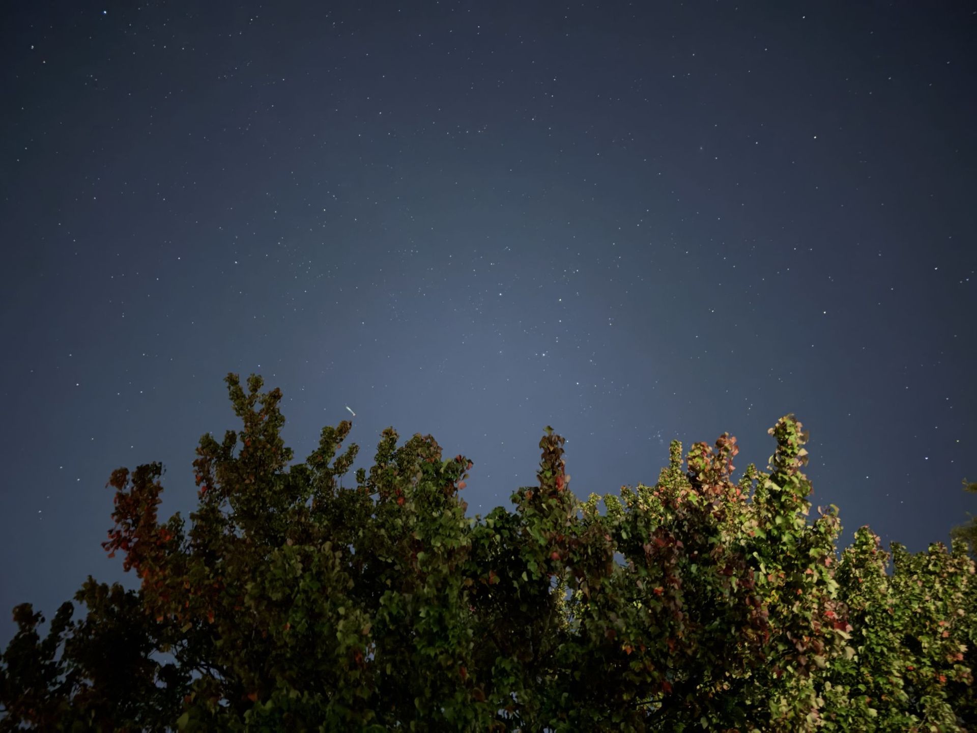 Apple iPhone 18 Pro Max camera sample.