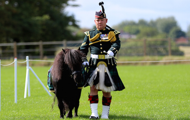 army mascots