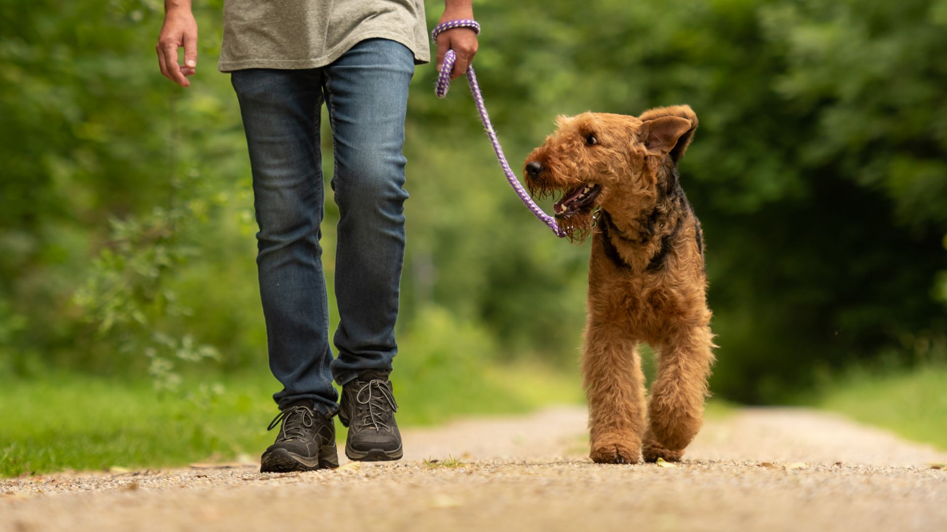 man walking dog