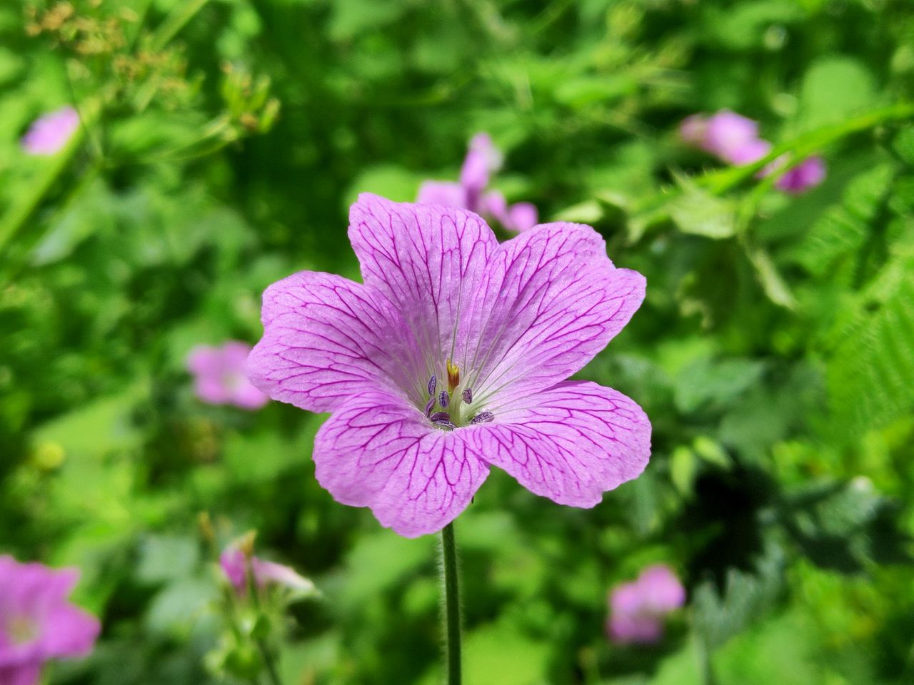 The portrait mode has decent subject-separation. Image credit: TechRadar