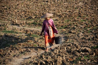 Scientists say it's extremely likely an El Ni&ntilde;o will affect the world's weather in 2014