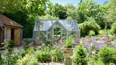 How to choose a greenhouse