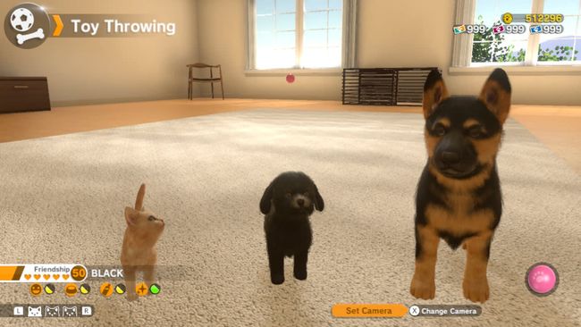 Best dog games for pet pals, canine adventures and doggy delights