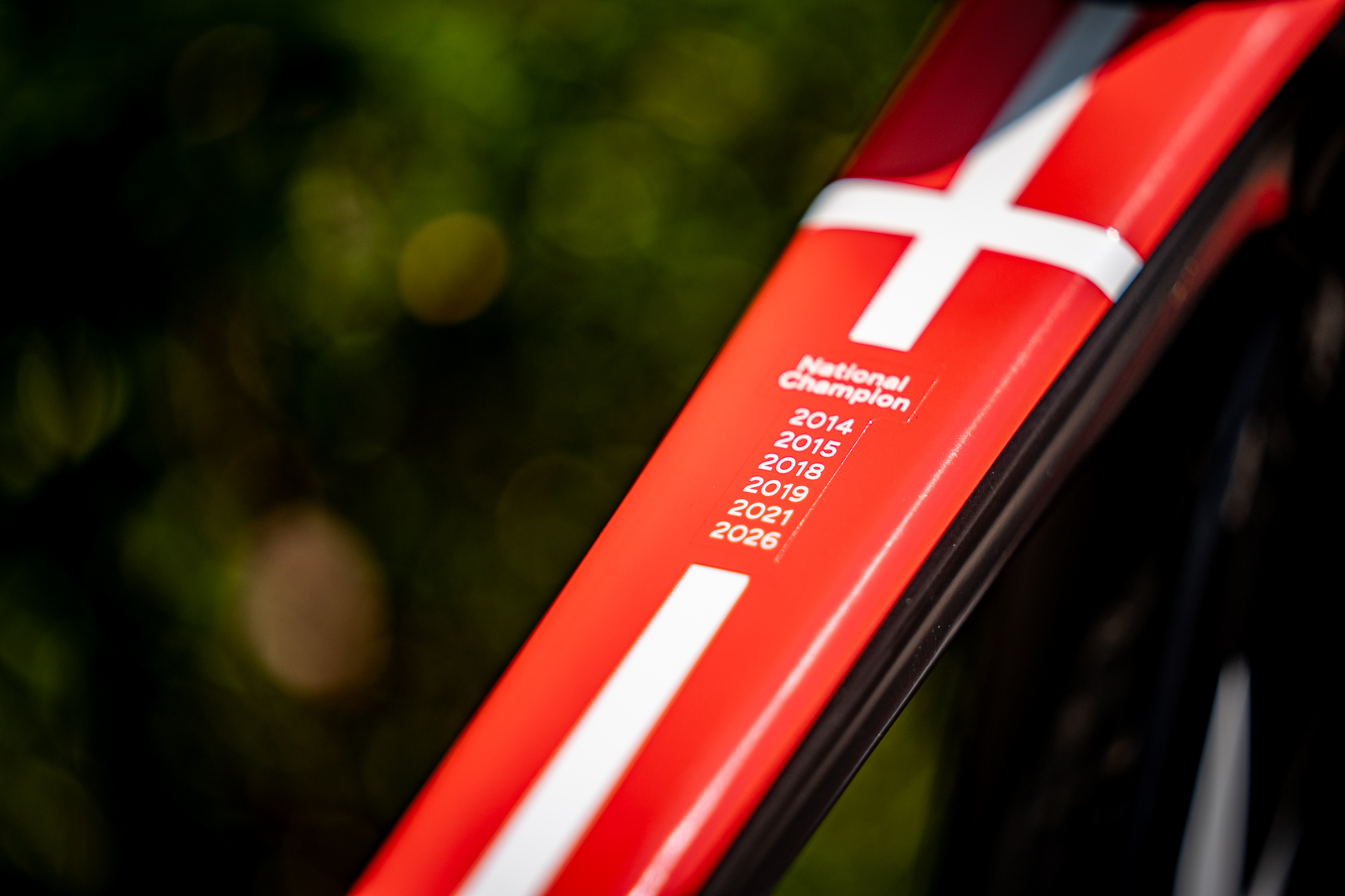 Amelie Dideriksen's custom painted Look bike