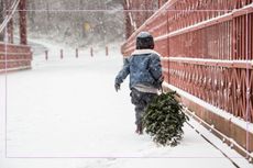 A young boy dragging a Christmas tree through the snow