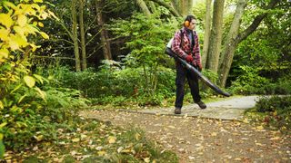 Man using a leaf blower in a park with autumn leaves around him.