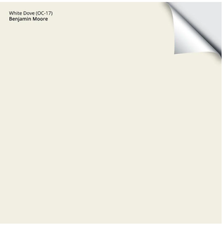 an ivory creamy white paint sample square