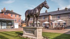 Frankel-in-The-Kings-Yard-c-Mark-Atkins-1.jpg