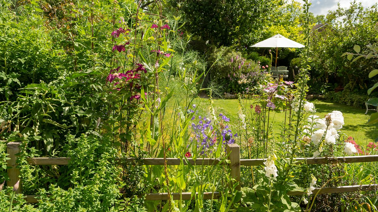 garden in Bath with chair and table in summer