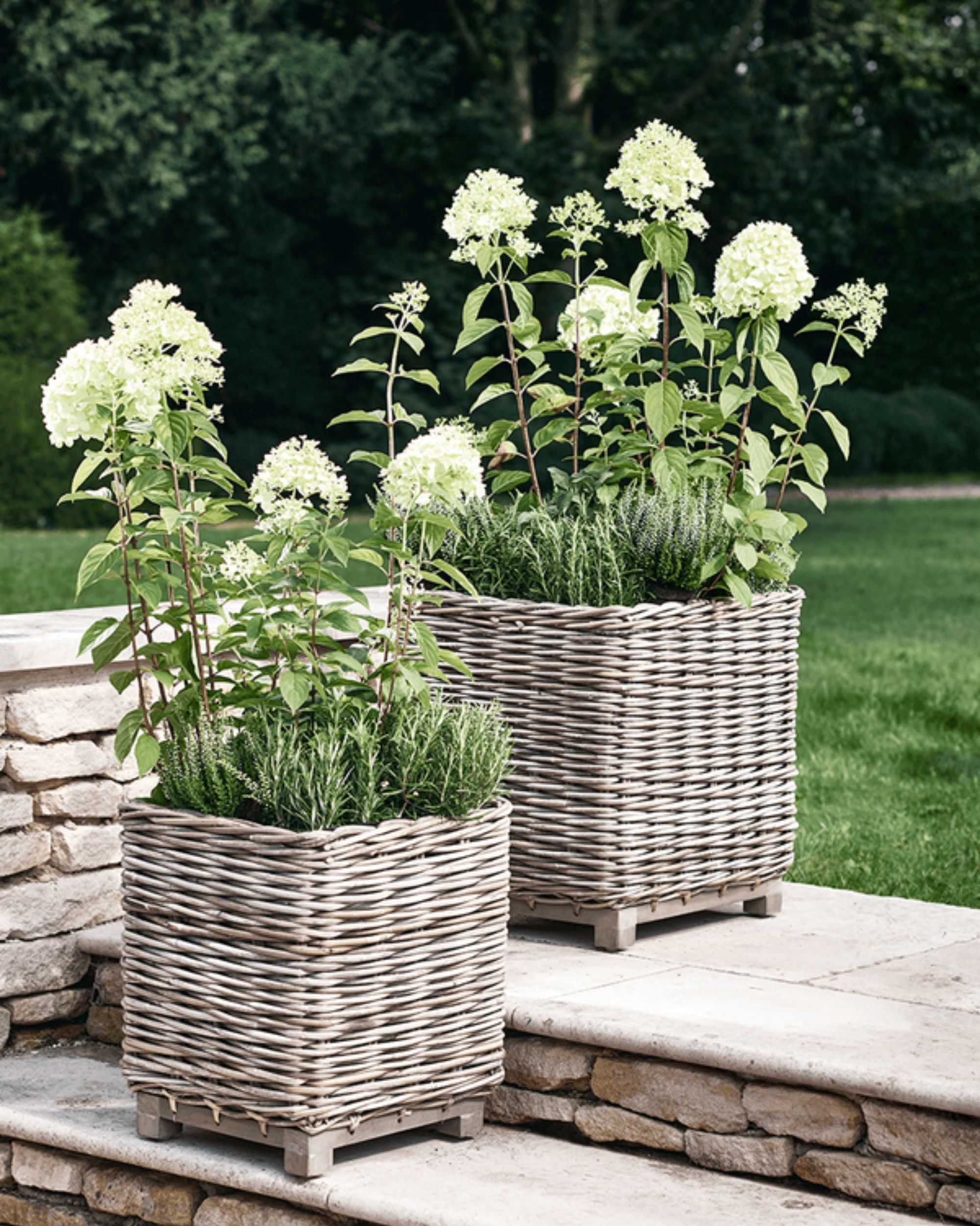 Two square rattan planters with white flowers planted inside on patio steps.