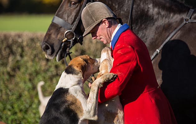 Hound love at the Southdown and Eridge