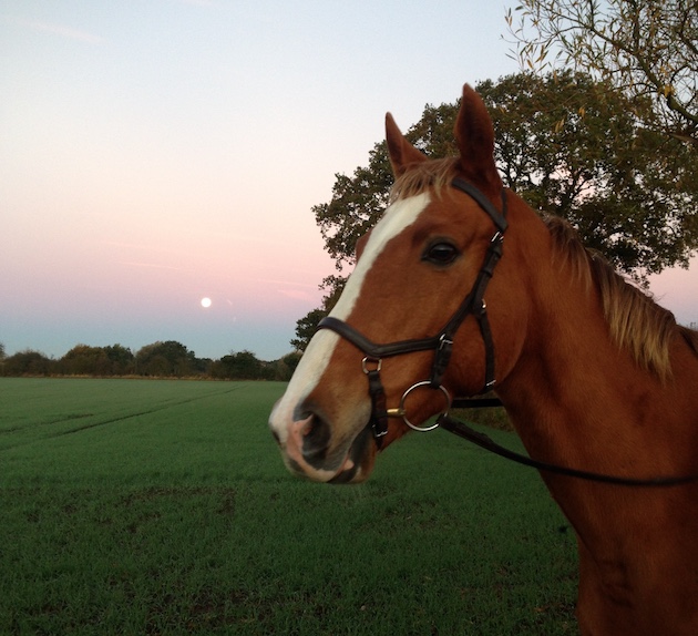 Michael-sunrise7-copy.jpg