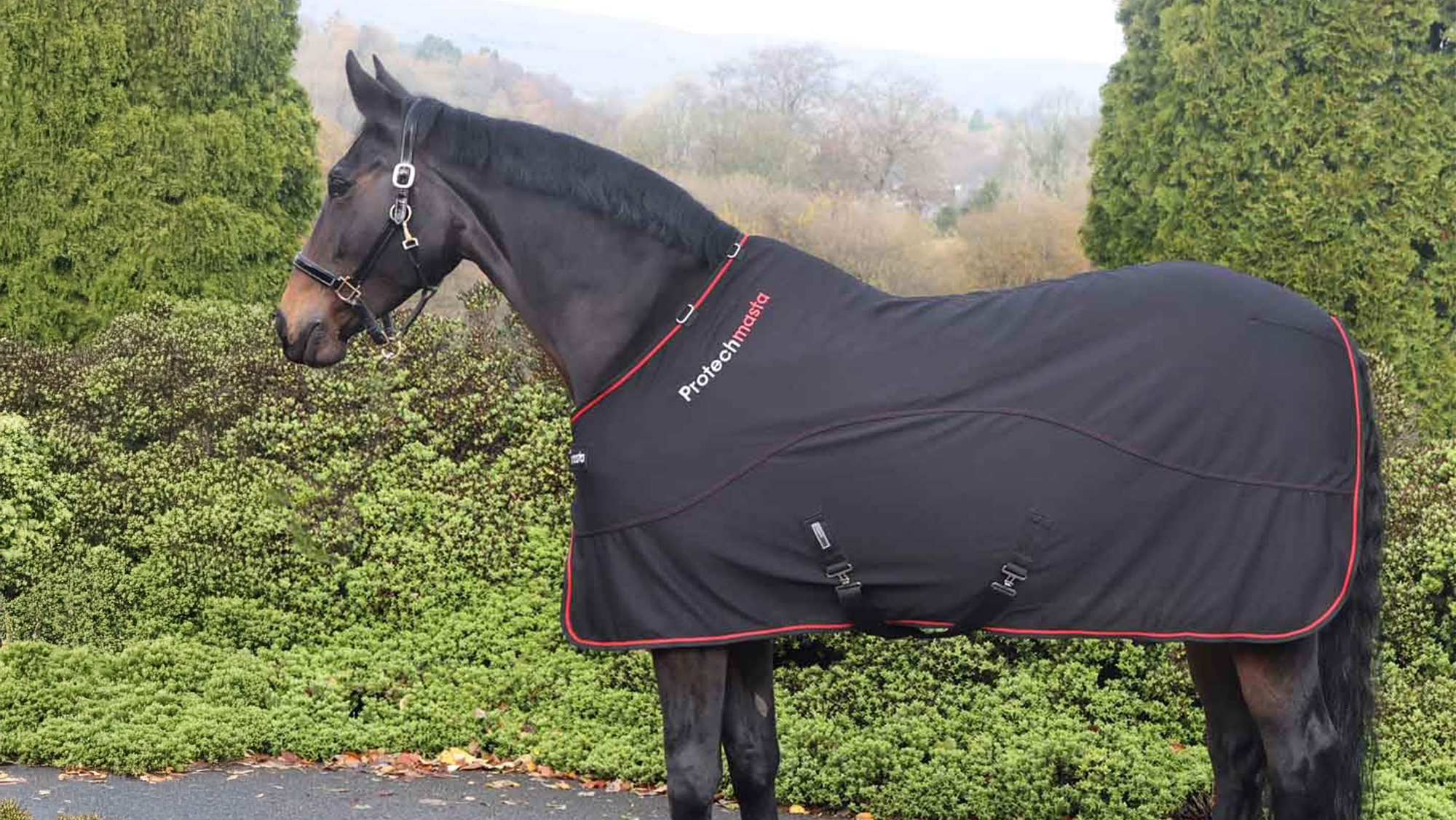 Protechmasta Therapy Cooler Rug